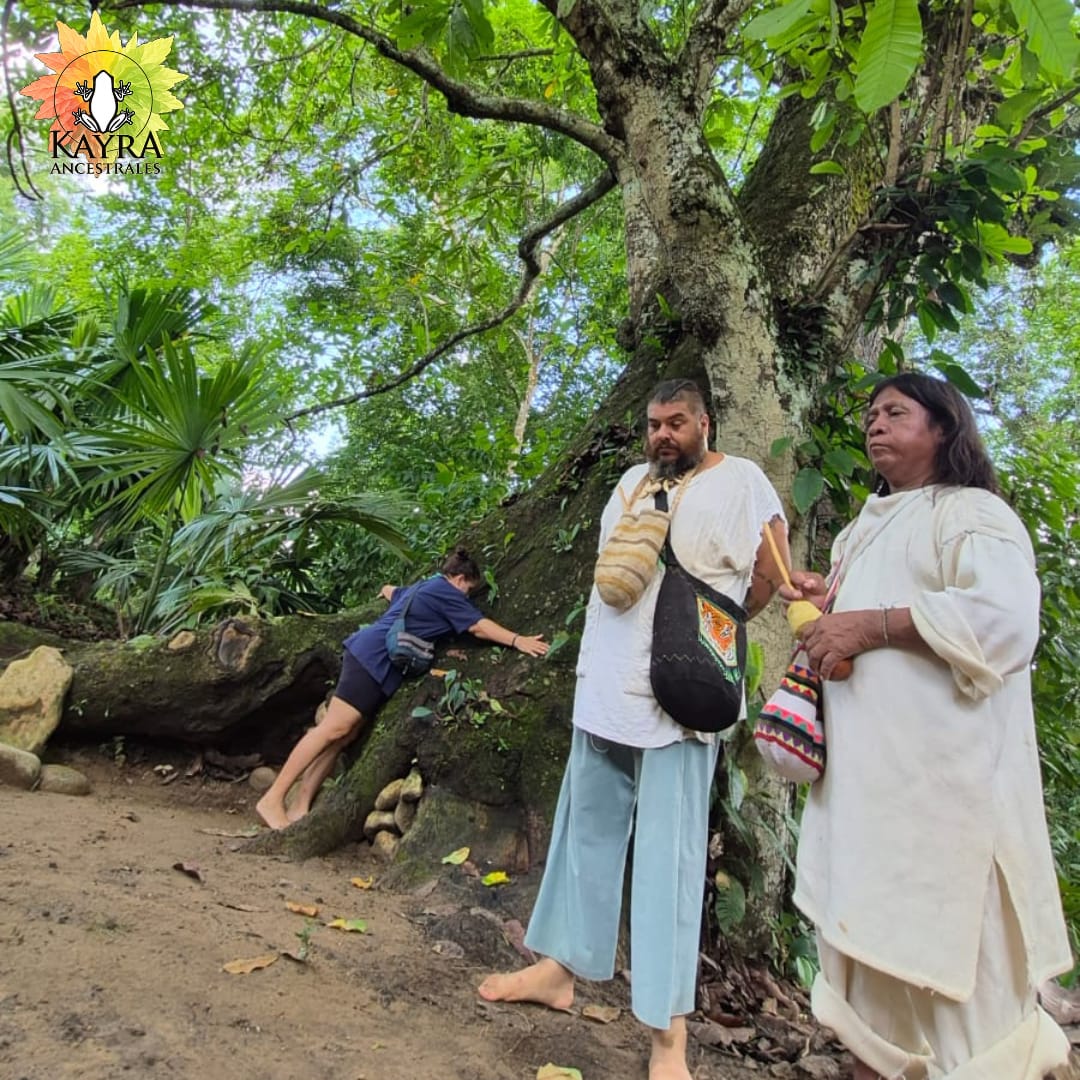 Caminos de kayra whatsapp image 2026 05 04 at 01.11.24 (1)